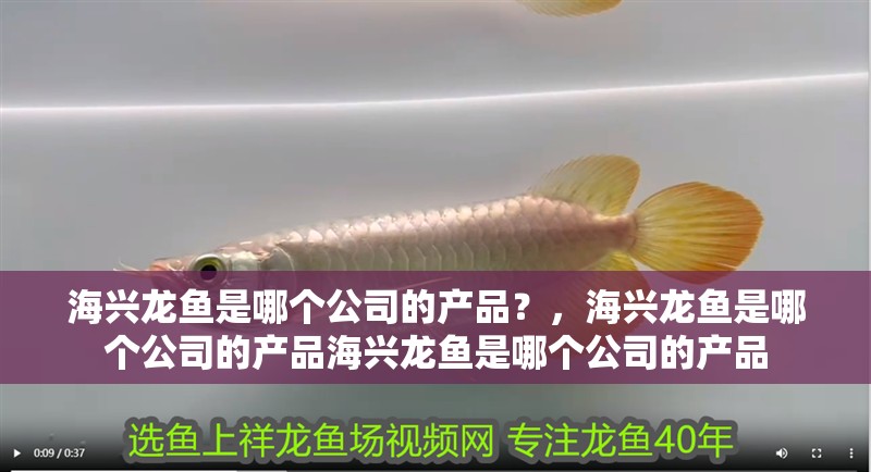 海興龍魚是哪個公司的產品？，海興龍魚是哪個公司的產品海興龍魚是哪個公司的產品