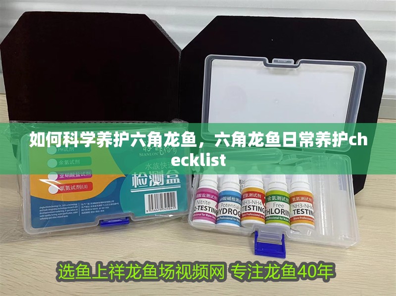 如何科學養護六角龍魚，六角龍魚日常養護checklist