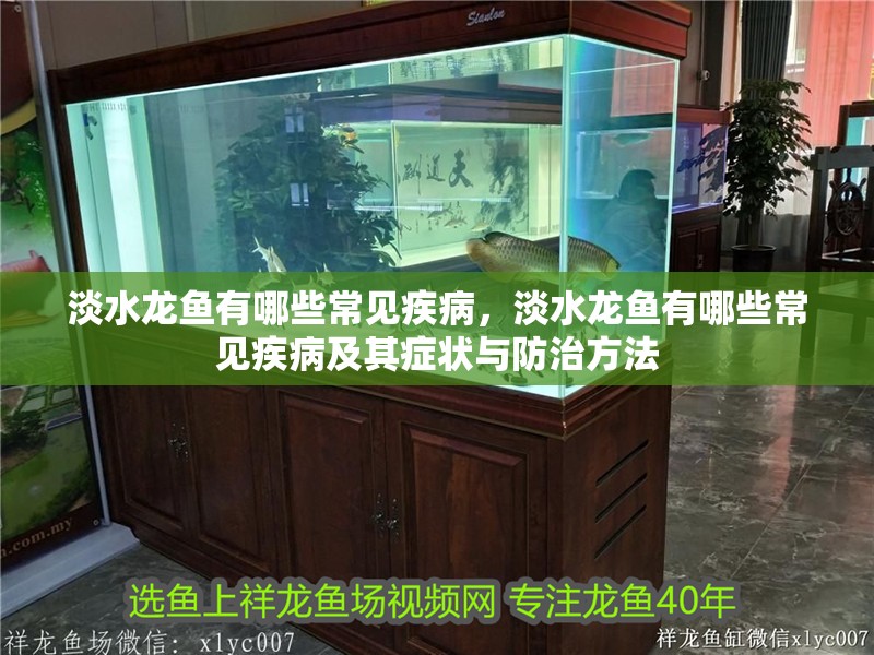 淡水龍魚有哪些常見疾病，淡水龍魚有哪些常見疾病及其癥狀與防治方法