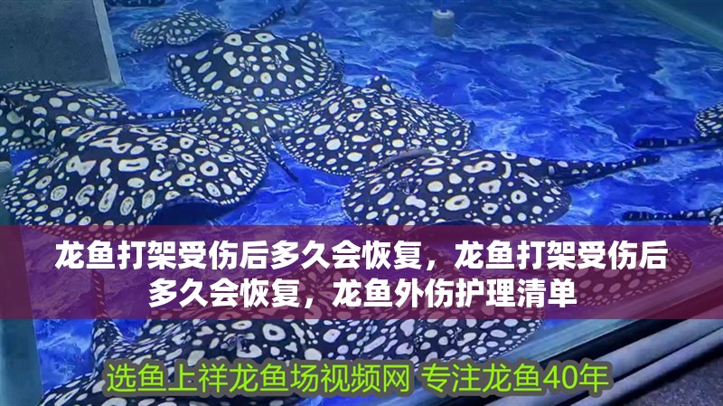 龍魚打架受傷后多久會恢復(fù)，龍魚打架受傷后多久會恢復(fù)，龍魚外傷護(hù)理清單