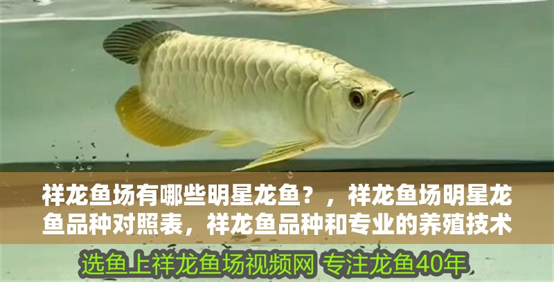 祥龍魚場有哪些明星龍魚？，祥龍魚場明星龍魚品種對照表，祥龍魚品種和專業的養殖技術