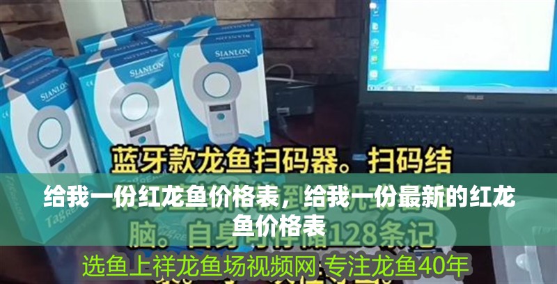 給我一份紅龍魚價格表，給我一份最新的紅龍魚價格表