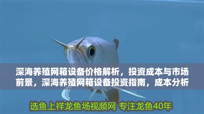 深海養殖網箱設備價格解析,投資成本與市場前景,深海養殖網箱設備投資指南,成本分析及市場前景預測 龍魚百科 第1張 深海養殖網箱設備價格解析,投資成本與市場前景,深海養殖網箱設備投資指南,成本分析及市場前景預測 深海養殖網箱設備價格解析,投資成本與市場前景,深海養殖網箱設備投資指南,成本分析及市場前景預測 龍魚百科 第1張