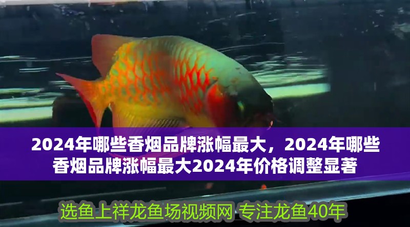 2024年哪些香煙品牌漲幅最大，2024年哪些香煙品牌漲幅最大2024年價(jià)格調(diào)整顯著