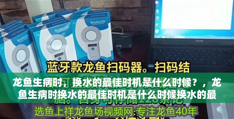 龍魚生病時，換水的最佳時機是什么時候？，龍魚生病時換水的最佳時機是什么時候換水的最佳時機是什么時候