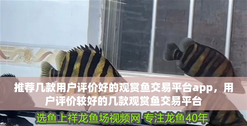 推薦幾款用戶評(píng)價(jià)好的觀賞魚交易平臺(tái)app，用戶評(píng)價(jià)較好的幾款觀賞魚交易平臺(tái)