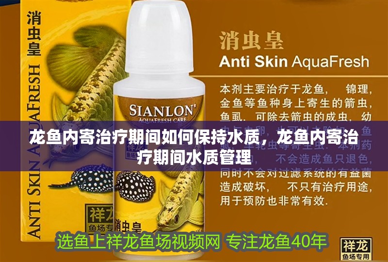 龍魚(yú)內(nèi)寄治療期間如何保持水質(zhì)，龍魚(yú)內(nèi)寄治療期間水質(zhì)管理