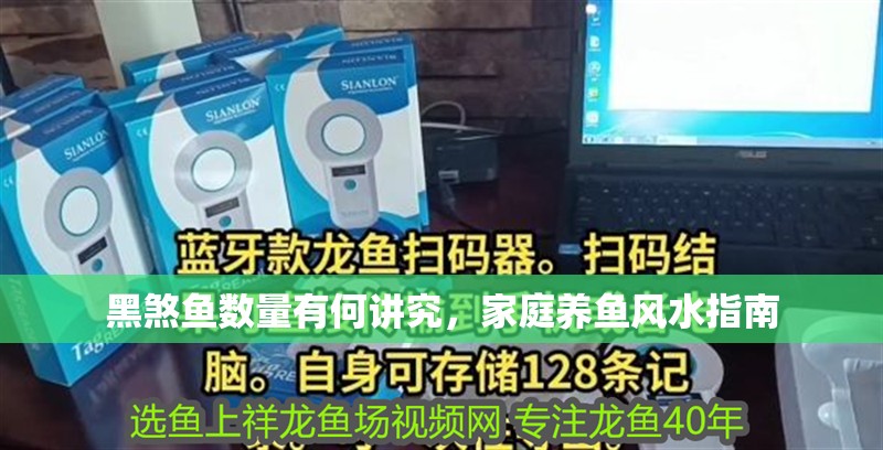 黑煞魚數量有何講究，家庭養魚風水指南