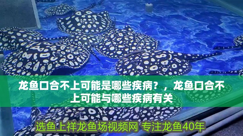 龍魚口合不上可能是哪些疾病？，龍魚口合不上可能與哪些疾病有關(guān)