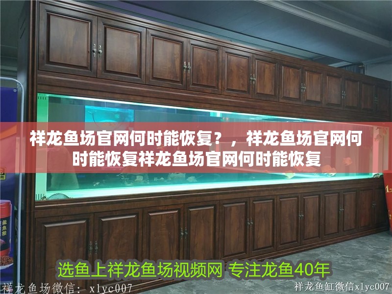 祥龍魚場官網何時能恢復？，祥龍魚場官網何時能恢復祥龍魚場官網何時能恢復