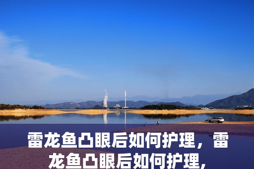 雷龍魚凸眼后如何護理，雷龍魚凸眼后如何護理,