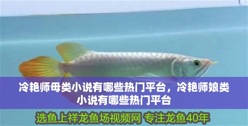 冷艷師母類小說有哪些熱門平臺，冷艷師娘類小說有哪些熱門平臺
