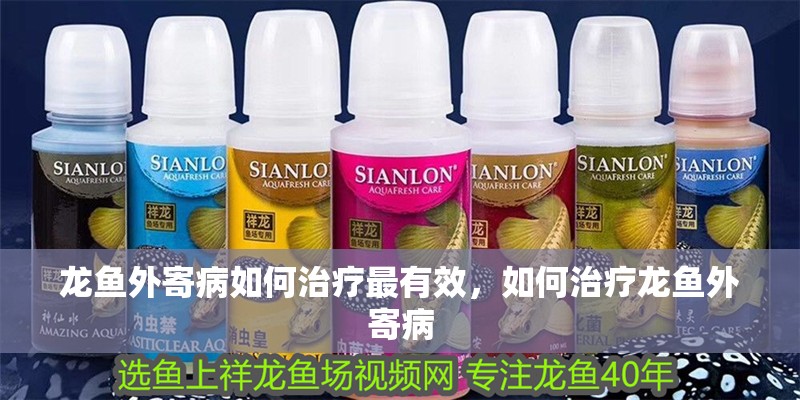 龍魚外寄病如何治療最有效，如何治療龍魚外寄病