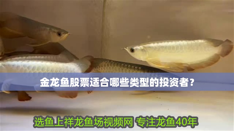 金龍魚股票適合哪些類型的投資者？