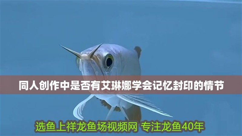 同人創作中是否有艾琳娜學會記憶封印的情節