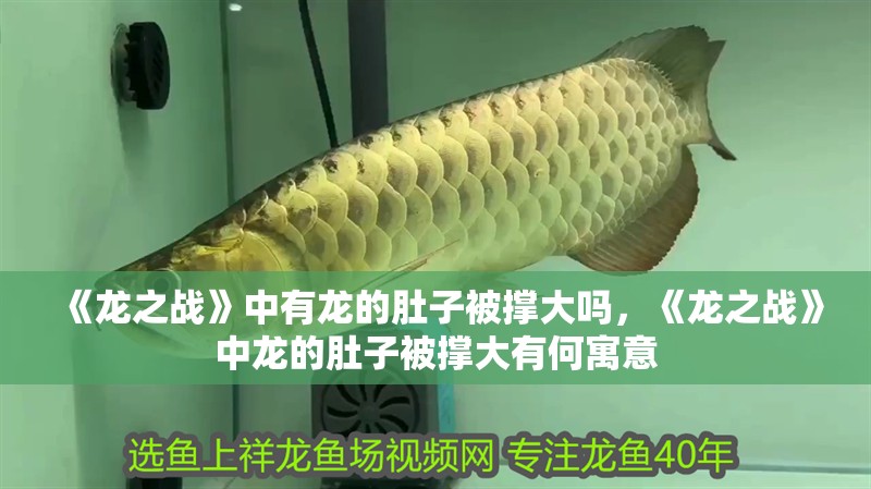 《龍之戰》中有龍的肚子被撐大嗎，《龍之戰》中龍的肚子被撐大有何寓意