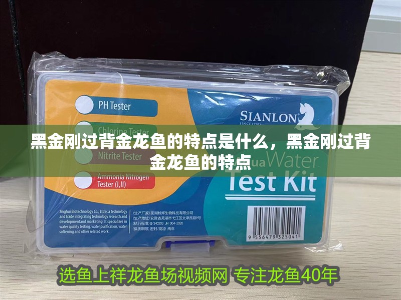 黑金剛過背金龍魚的特點是什么，黑金剛過背金龍魚的特點