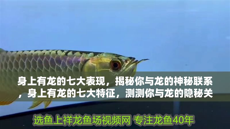 身上有龍的七大表現,揭秘你與龍的神秘聯系,身上有龍的七大特征,測測你與龍的隱秘關聯! 龍魚百科 第1張 身上有龍的七大表現,揭秘你與龍的神秘聯系,身上有龍的七大特征,測測你與龍的隱秘關聯! 身上有龍的七大表現,揭秘你與龍的神秘聯系,身上有龍的七大特征,測測你與龍的隱秘關聯! 龍魚百科 第1張