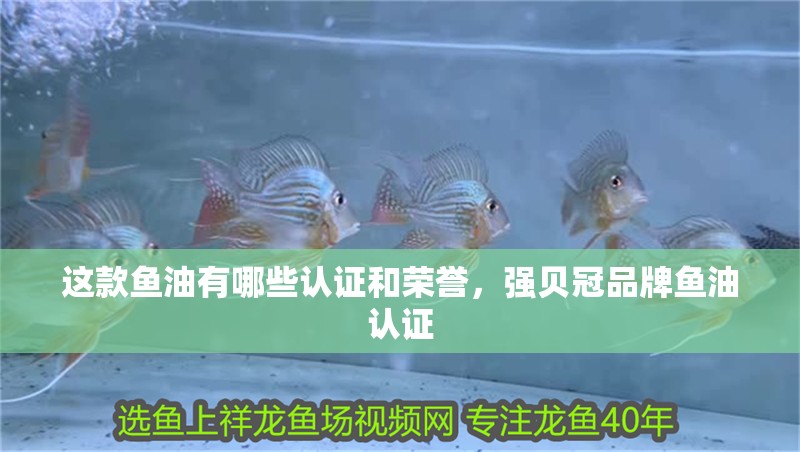這款魚油有哪些認證和榮譽,強貝冠品牌魚油認證
