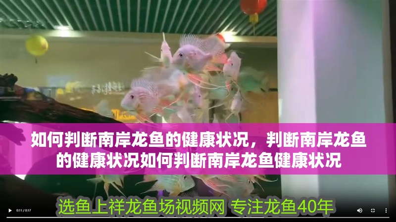 如何判斷南岸龍魚的健康狀況，判斷南岸龍魚的健康狀況如何判斷南岸龍魚健康狀況
