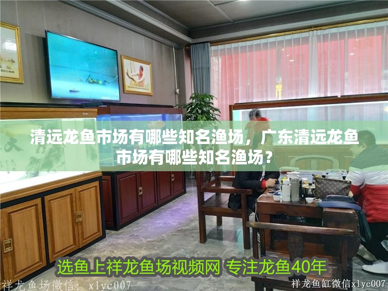 清遠龍魚市場有哪些知名漁場，廣東清遠龍魚市場有哪些知名漁場？
