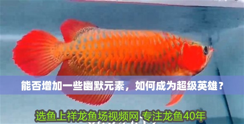 能否增加一些幽默元素，如何成為超級英雄？