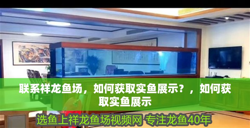 聯(lián)系祥龍魚場，如何獲取實魚展示？，如何獲取實魚展示