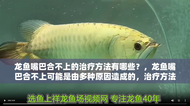 龍魚嘴巴合不上的治療方法有哪些？，龍魚嘴巴合不上可能是由多種原因造成的，治療方法需要根據(jù)原因來定