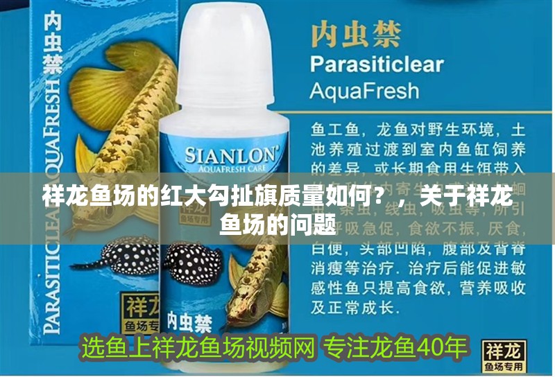 祥龍魚場的紅大勾扯旗質量如何？，關于祥龍魚場的問題