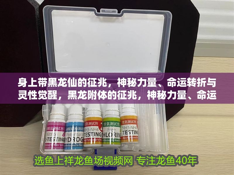 身上帶黑龍仙的征兆，神秘力量、命運轉折與靈性覺醒，黑龍附體的征兆，神秘力量、命運轉折與靈性覺醒的玄秘關聯