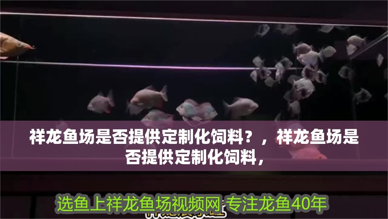 祥龍魚場是否提供定制化飼料？，祥龍魚場是否提供定制化飼料，