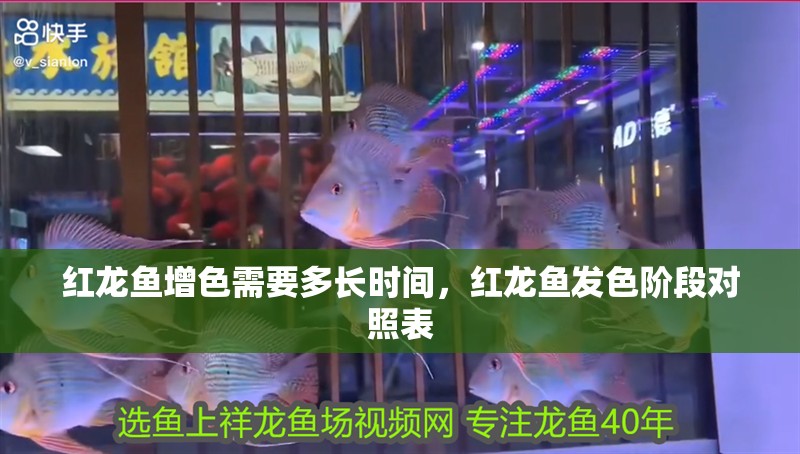 紅龍魚(yú)增色需要多長(zhǎng)時(shí)間，紅龍魚(yú)發(fā)色階段對(duì)照表