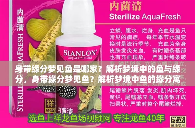 身帶緣分夢(mèng)見魚是哪家？解析夢(mèng)境中的魚與緣分，身帶緣分夢(mèng)見魚？解析夢(mèng)境中魚的緣分寓意