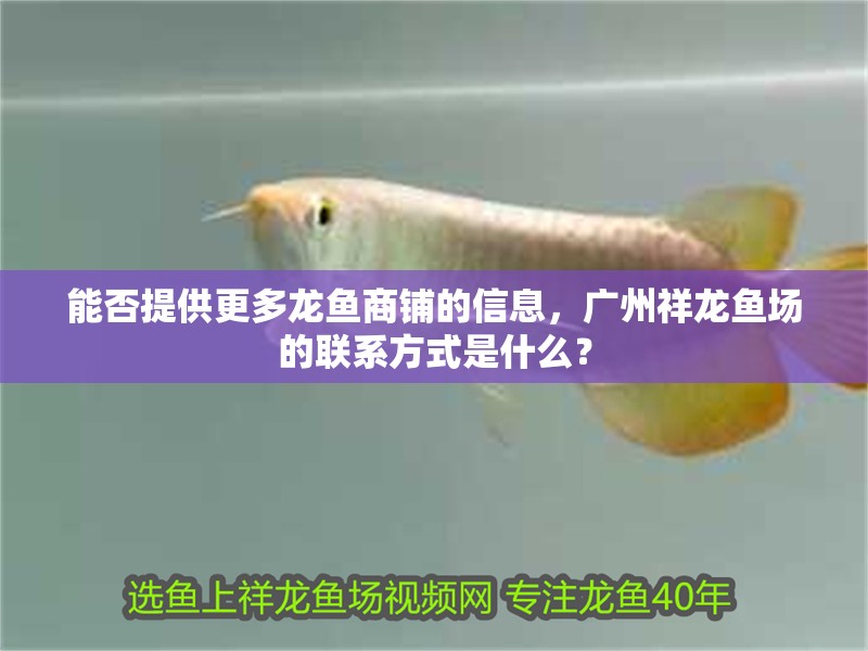 能否提供更多龍魚商鋪的信息，廣州祥龍魚場的聯(lián)系方式是什么？