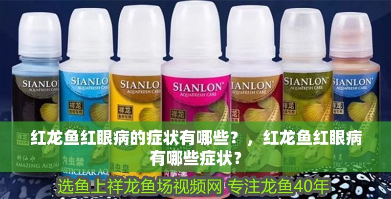 紅龍魚紅眼病的癥狀有哪些？，紅龍魚紅眼病有哪些癥狀？