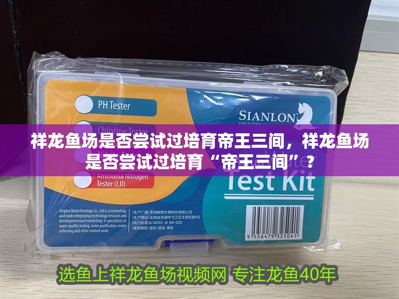 祥龍魚場是否嘗試過培育帝王三間，祥龍魚場是否嘗試過培育“帝王三間”？