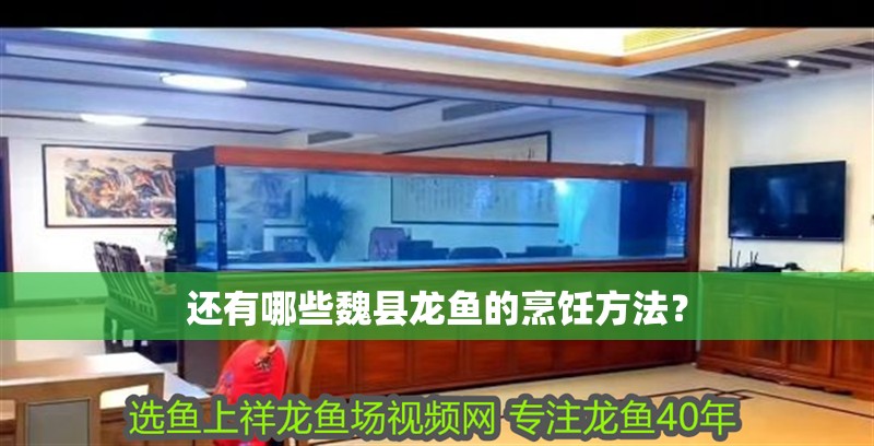 還有哪些魏縣龍魚的烹飪方法？