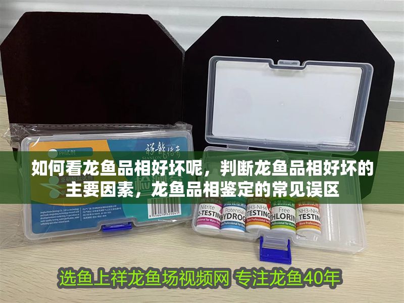 如何看龍魚品相好壞呢，判斷龍魚品相好壞的主要因素，龍魚品相鑒定的常見誤區