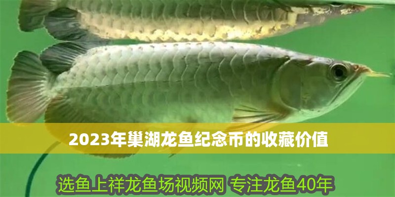 2023年巢湖龍魚紀(jì)念幣的收藏價值