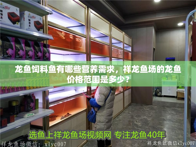 龍魚飼料魚有哪些營養需求，祥龍魚場的龍魚價格范圍是多少？