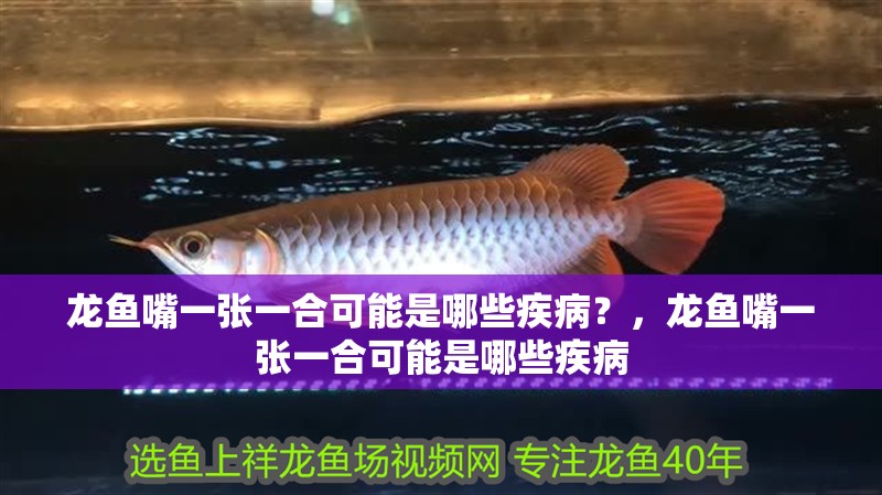 龍魚嘴一張一合可能是哪些疾病？，龍魚嘴一張一合可能是哪些疾病