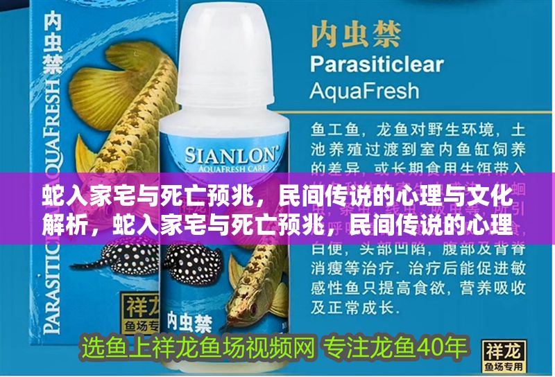 蛇入家宅與死亡預兆，民間傳說的心理與文化解析，蛇入家宅與死亡預兆，民間傳說的心理根源與文化象征解析 蛇入家宅與死亡預兆，民間傳說的心理與文化解析，蛇入家宅與死亡預兆，民間傳說的心理根源與文化象征解析 龍魚百科 第1張