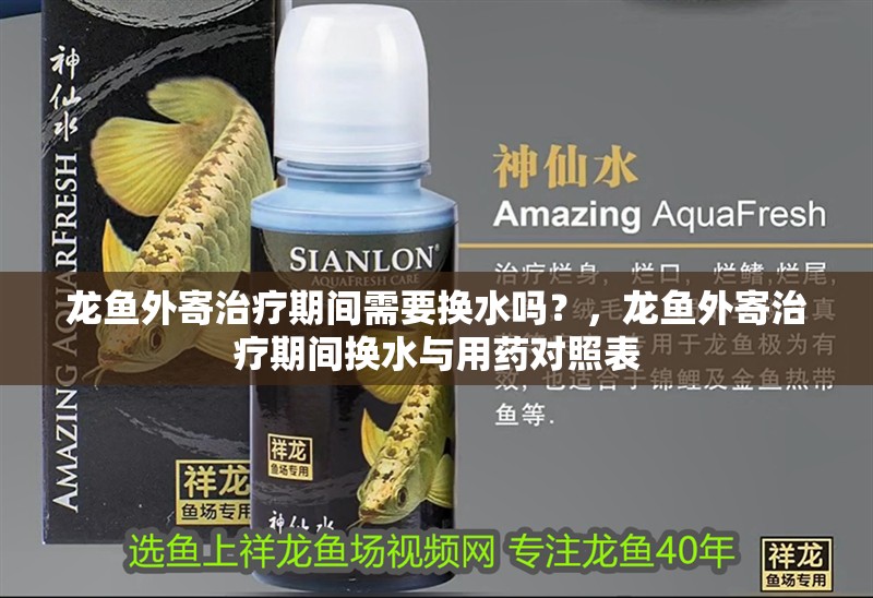 龍魚外寄治療期間需要換水嗎？，龍魚外寄治療期間換水與用藥對照表