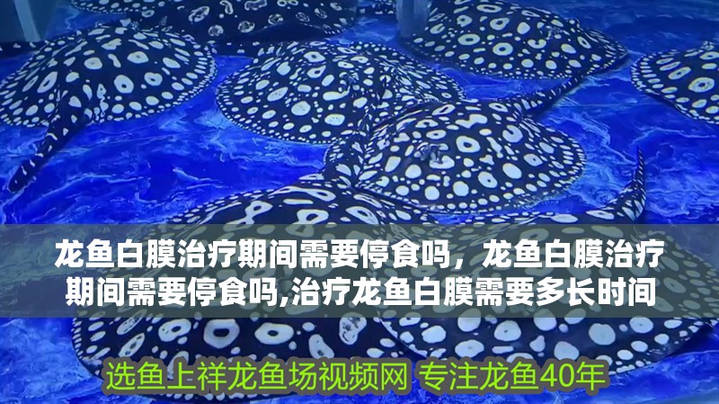 龍魚白膜治療期間需要停食嗎，龍魚白膜治療期間需要停食嗎,治療龍魚白膜需要多長時間