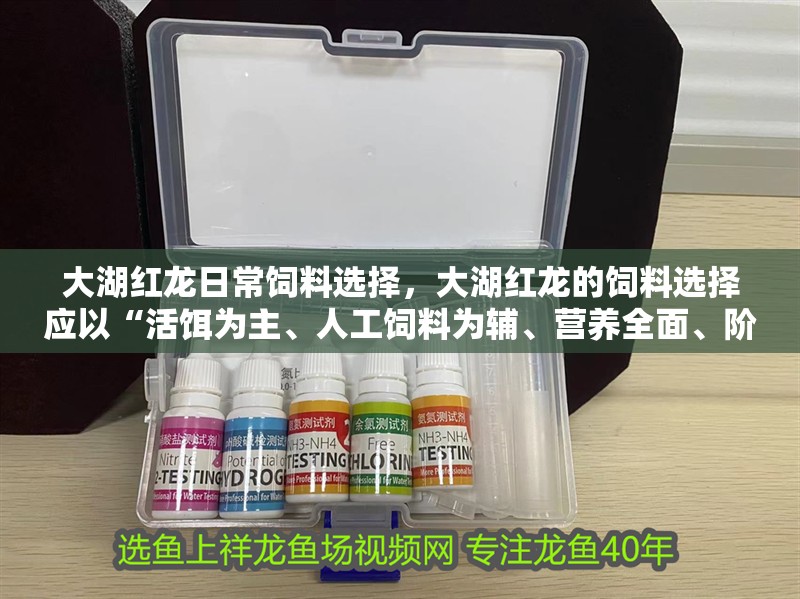 大湖紅龍日常飼料選擇，大湖紅龍的飼料選擇應(yīng)以“活餌為主、人工飼料為輔、營(yíng)養(yǎng)全面、階段調(diào)控”為核心原則