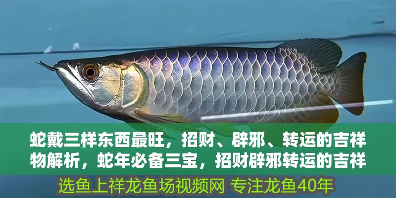 蛇戴三樣?xùn)|西最旺，招財、辟邪、轉(zhuǎn)運的吉祥物解析，蛇年必備三寶，招財辟邪轉(zhuǎn)運的吉祥物全解析