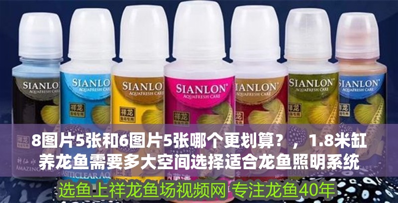 8圖片5張和6圖片5張哪個更劃算？，1.8米缸養龍魚需要多大空間選擇適合龍魚照明系統