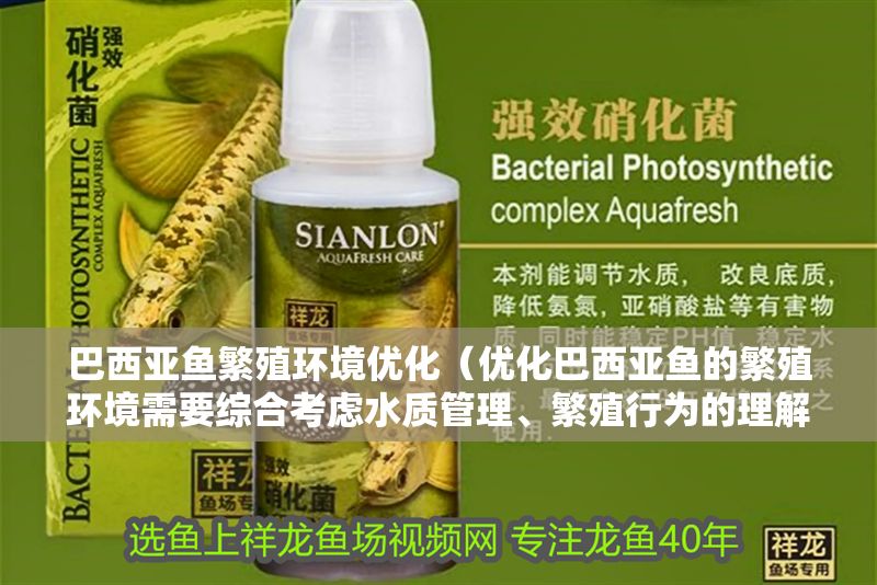 巴西亞魚繁殖環境優化（優化巴西亞魚的繁殖環境需要綜合考慮水質管理、繁殖行為的理解）
