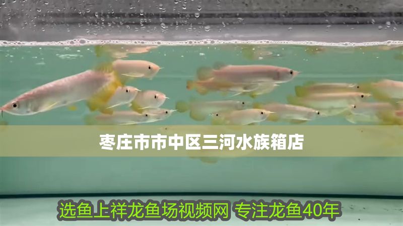 棗莊市市中區三河水族箱店