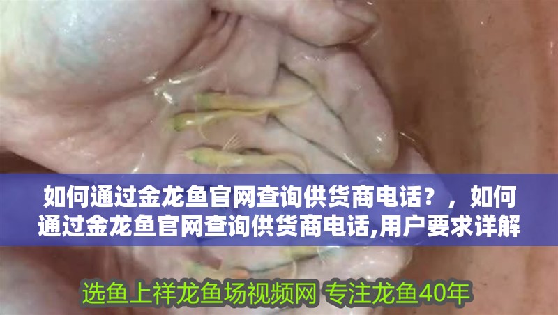 如何通過金龍魚官網(wǎng)查詢供貨商電話？，如何通過金龍魚官網(wǎng)查詢供貨商電話,用戶要求詳解